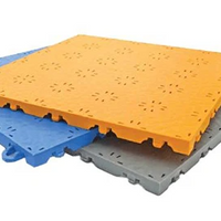 Dalle sportive Intérieure (Échantillon)